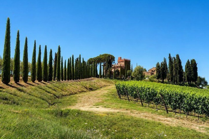 Lake Trasimeno eBike virtual-guided tour 3