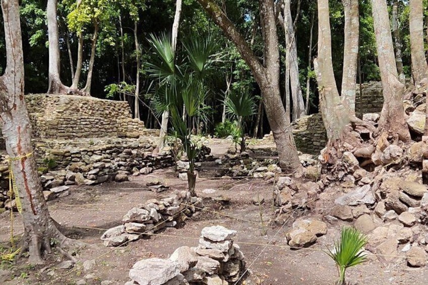 Muyil Tour and Cenote Swim Explore Ancient Ruins and Nature 4