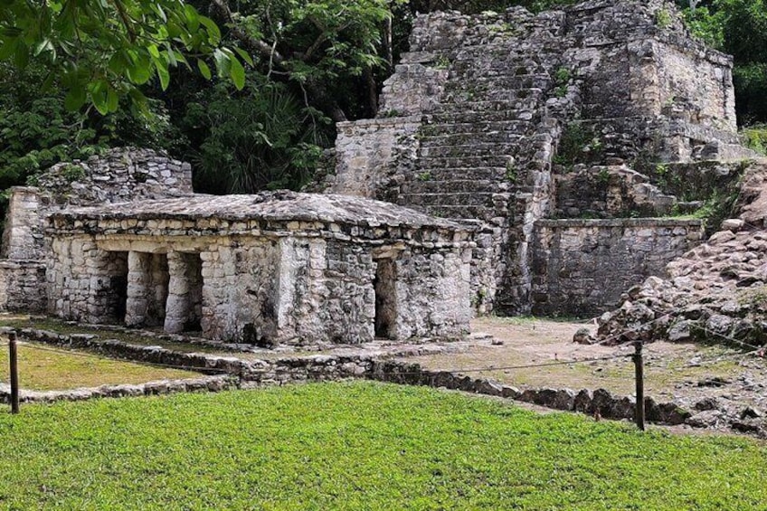 Muyil Tour and Cenote Swim Explore Ancient Ruins and Nature 5