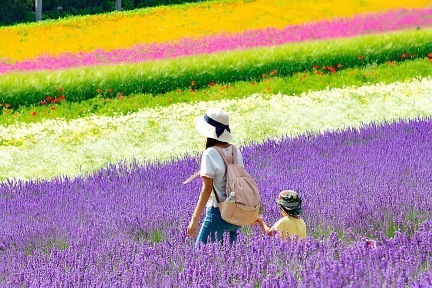 A woman and a child walking through a field of purple flowers. 5