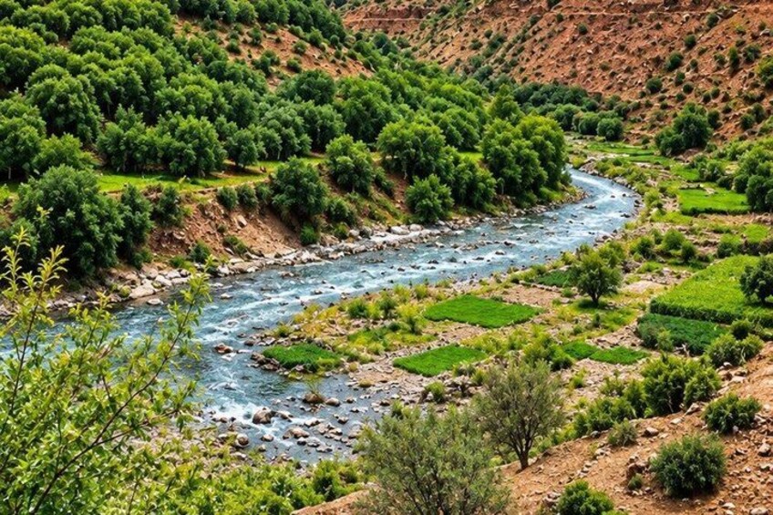 A river winding through a valley with green vegetation and terraced fields. 2