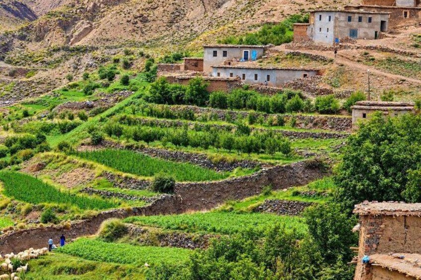 Terraced agricultural fields, traditional buildings, and a mountainous landscape. 4