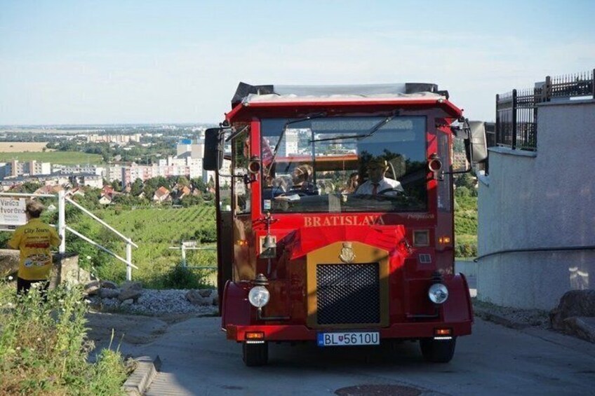 Wine Tasting Tour - by Oldtimer Bus in Famous Local Wine District 1