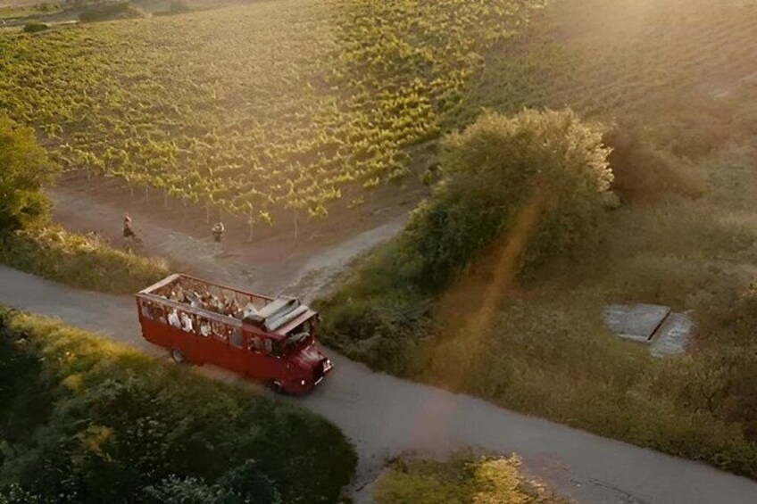 Wine Tasting Tour - by Oldtimer Bus in Famous Local Wine District 2