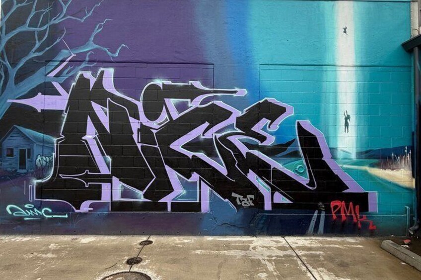 RiNo Street Art Tour of Denvers Famous Murals 2