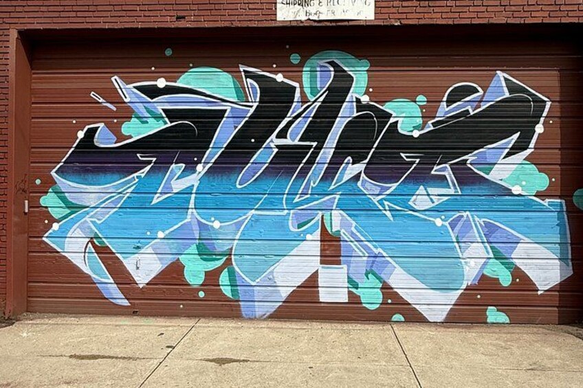 A garage door with graffiti art. 5