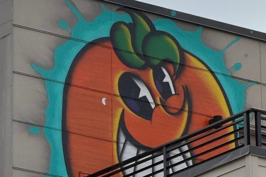 RiNo Street Art Tour of Denvers Famous Murals 5