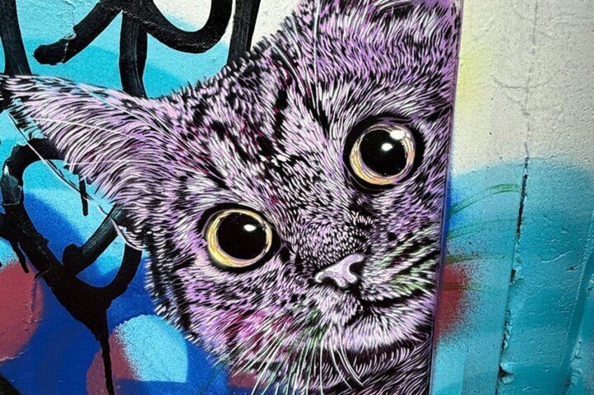 RiNo Street Art Tour of Denvers Famous Murals 1