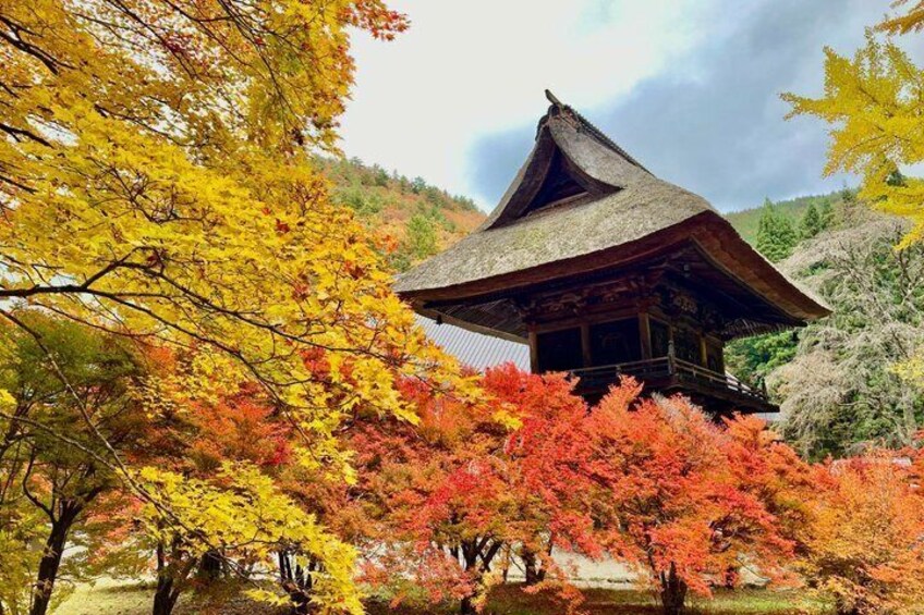 1 Day Tour Hiking to Happo-ike Pond and Hot Springs in Hakuba 4