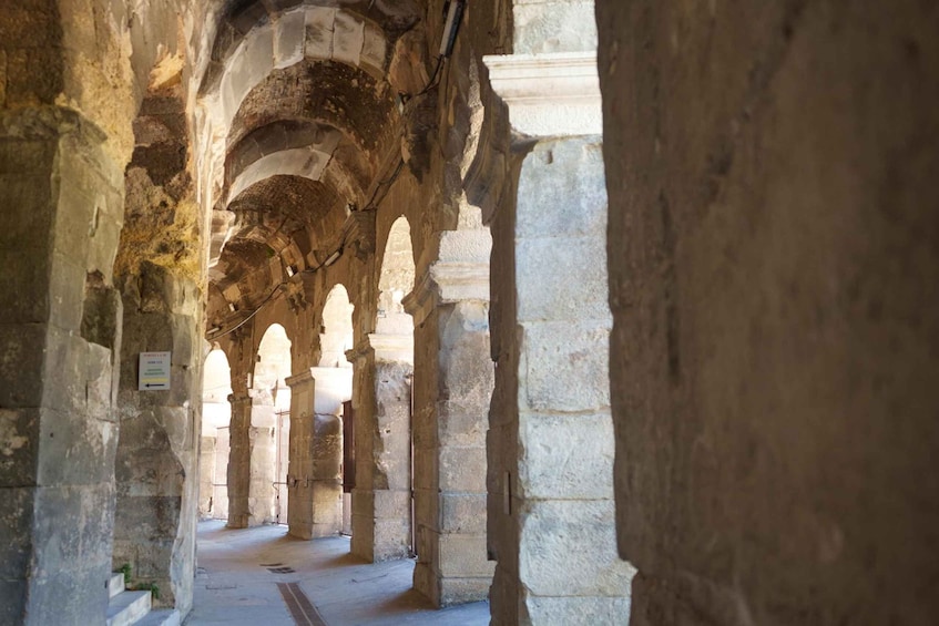 Picture 2 for Activity Nîmes: Guided Visit of the French Rome 3