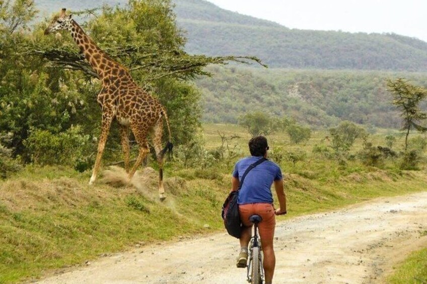 Day Trip To Crescent Island Game Park- Lake Naivasha 3
