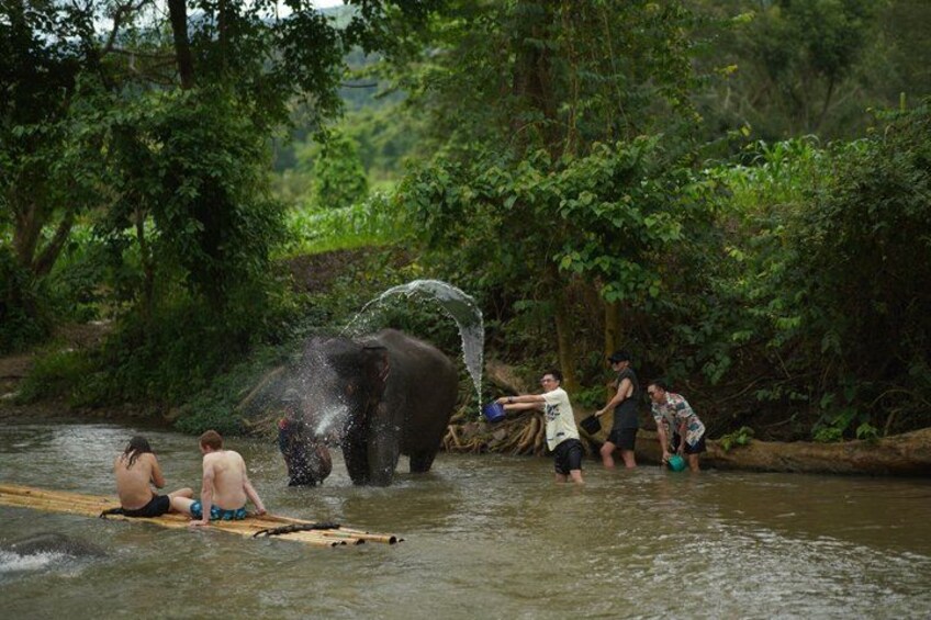 An elephant spraying water, people on a boat, and a river in a forest. 3