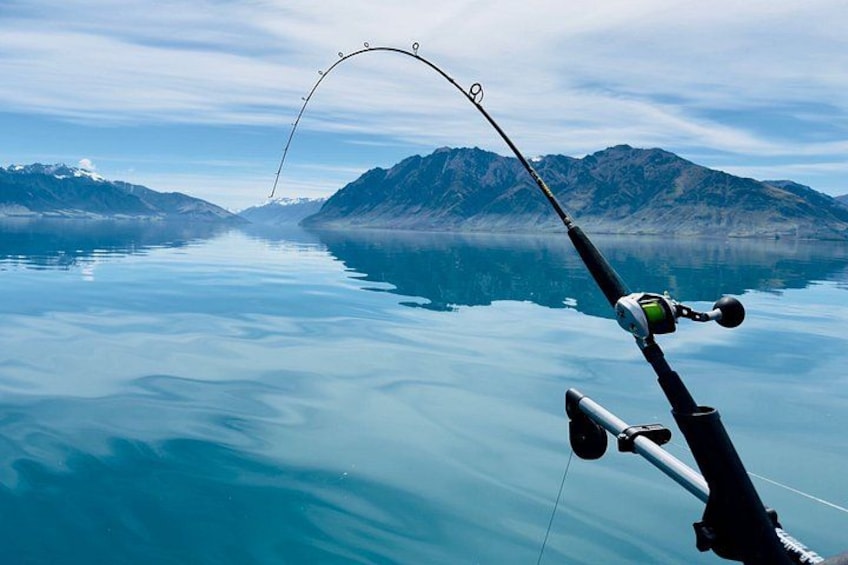 A fishing rod with a line in a lake with mountains in the background. 4