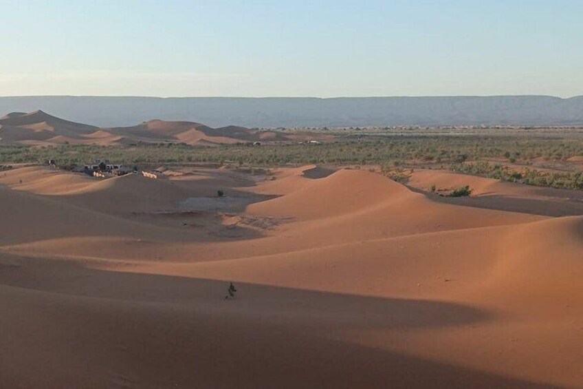 A desert landscape with sand dunes and sparse vegetation. 5