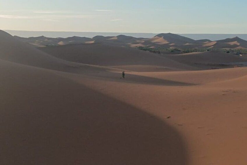 2 Days Zagora Desert Experience with Local Berber Guide 4