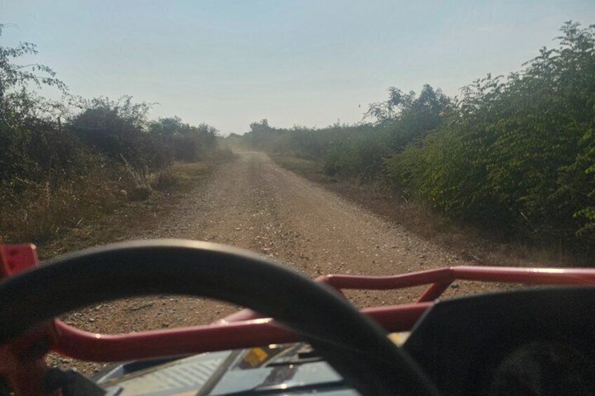 Buggy Tours from Istra to Vita Bar Bale 3