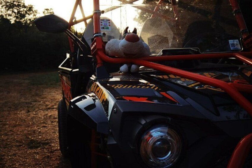 Buggy Tours from Istra to Vita Bar Bale 2