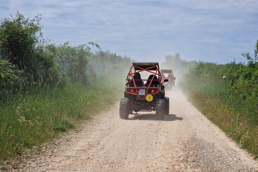 Buggy Tours from Istra to Vita Bar Bale 5