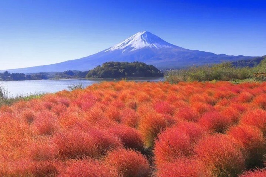 Lake Yamanaka Arakurayama Sengen Park Lake Kawaguchi 5