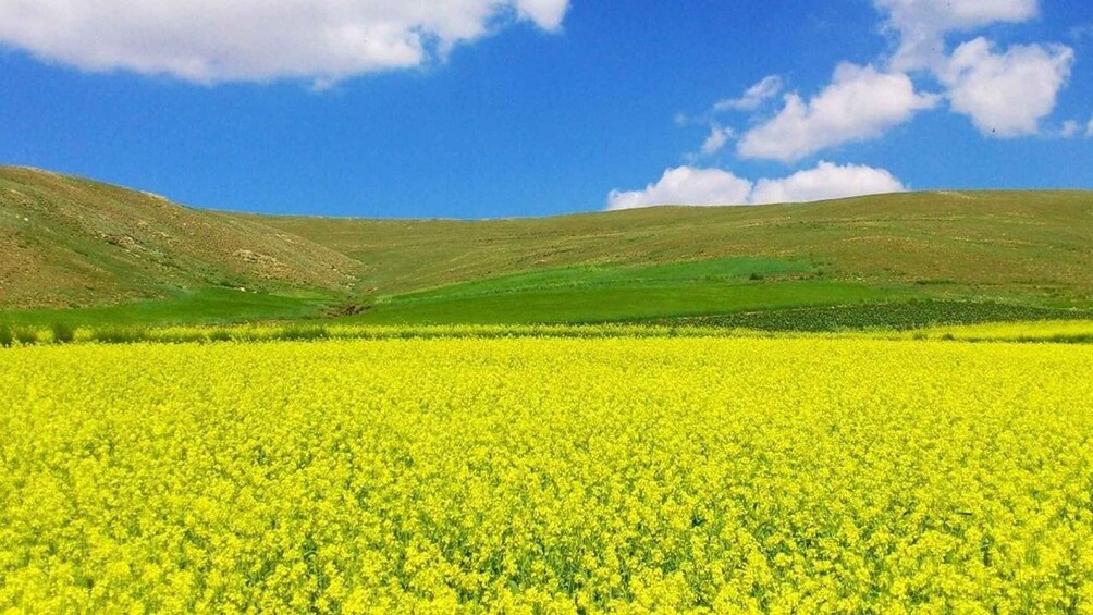Hohhot: Grassland and Volcano Trip with Mongolian Culture 1