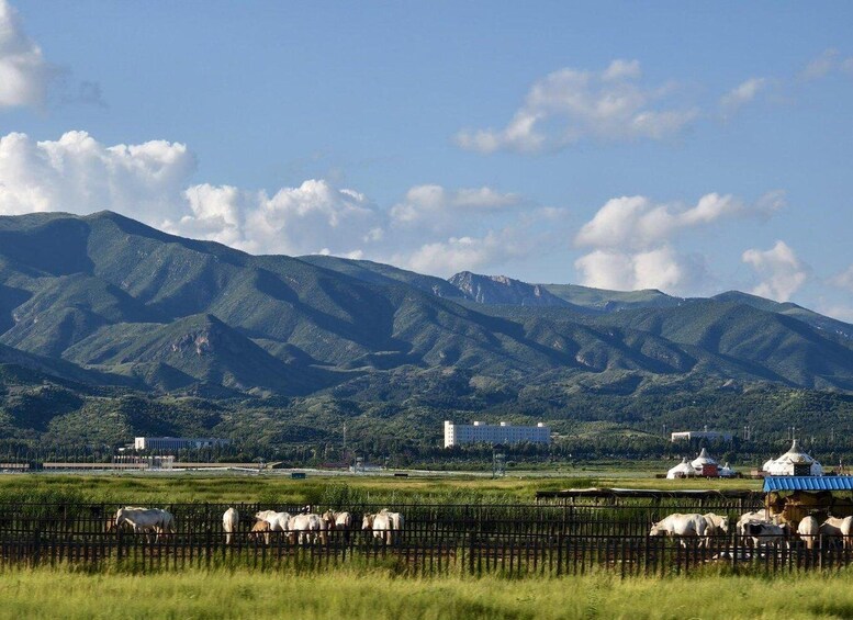 Hohhot: Small Group Red Stone Cliff & Grassland Day Trip 1