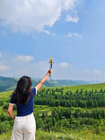 Picture 4 for Activity Hohhot: Small Group Red Stone Cliff & Grassland Day Trip 5