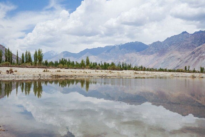 A mountain landscape with a reflective lake, trees, and distant mountains. 2