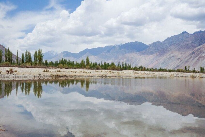 6 Days Private Ladakh Tour Nubra Pangong and Khardung La Pass 2
