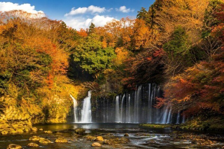 Private Day Trip from Tokyo to Karuizawa Nature and Culture 2