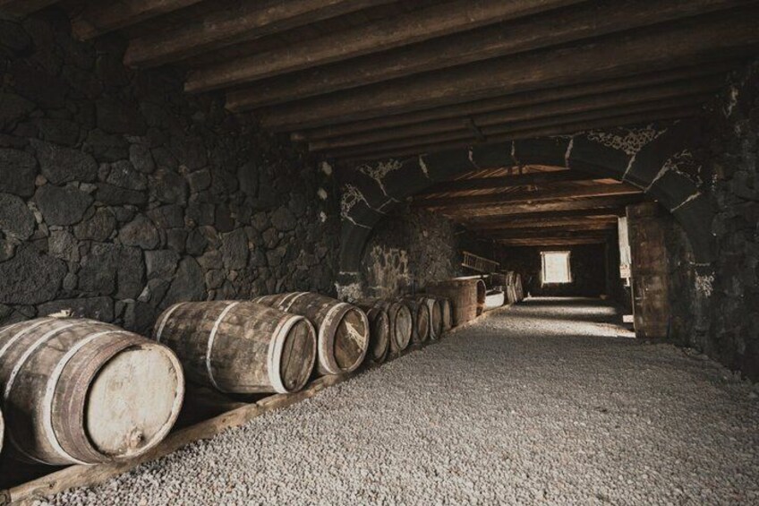 Classic Tasting of 4 Volcanic Wines at Adega do Vulcão in Pico 4