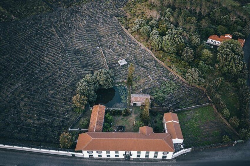 Classic Tasting of 4 Volcanic Wines at Adega do Vulcão in Pico 5