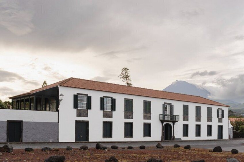 Classic Tasting of 4 Volcanic Wines at Adega do Vulcão in Pico 3