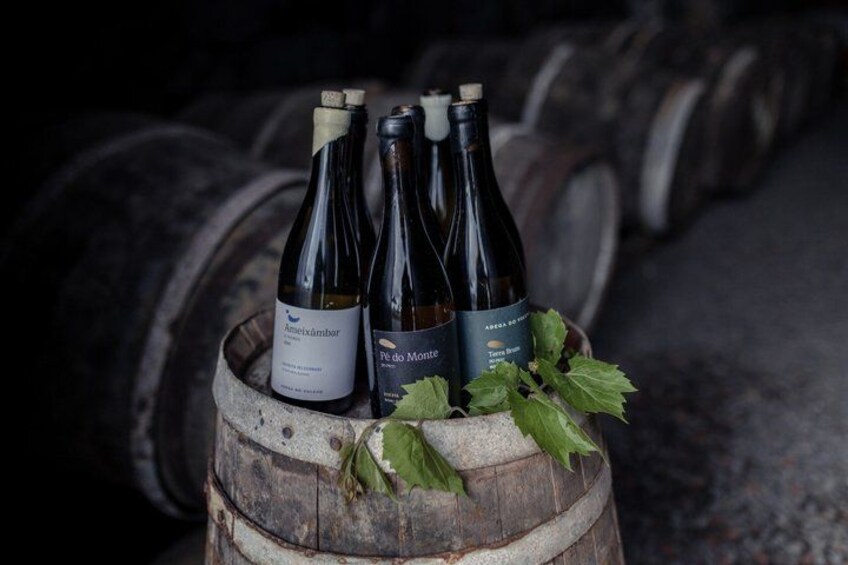 Three wine bottles on a wooden barrel with a vine leaf, set against a background of large wine barrels. 5