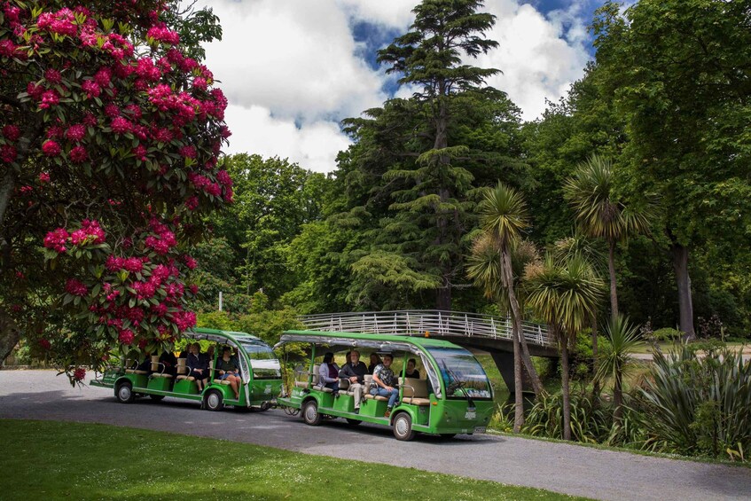 Picture 4 for Activity Christchurch Botanic Gardens Tour 5
