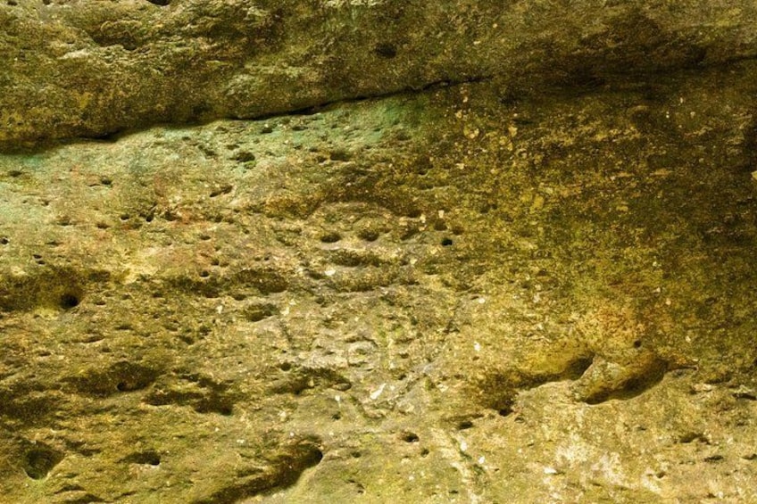 A close-up of a rock surface with visible holes and erosion patterns. 2