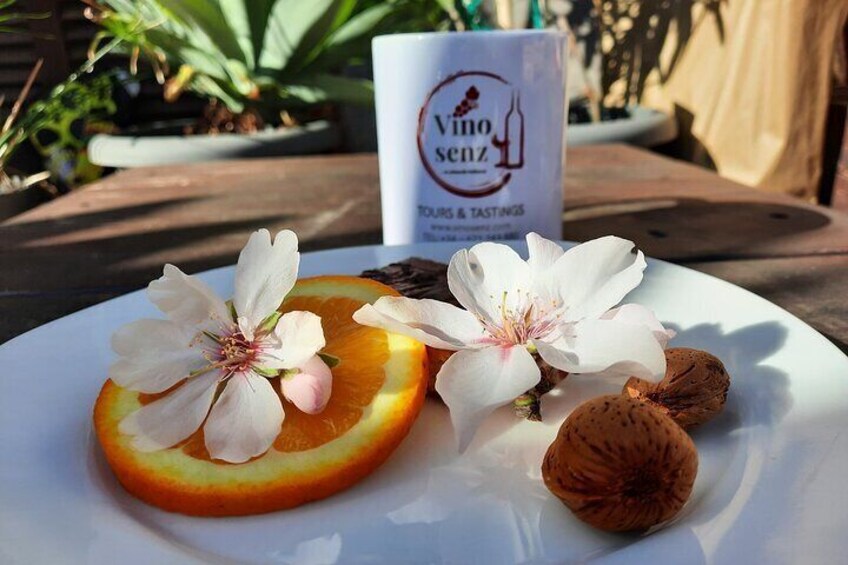 Mallorca Almond Blossom Tour by Minibus incl. pick up South Coast 4