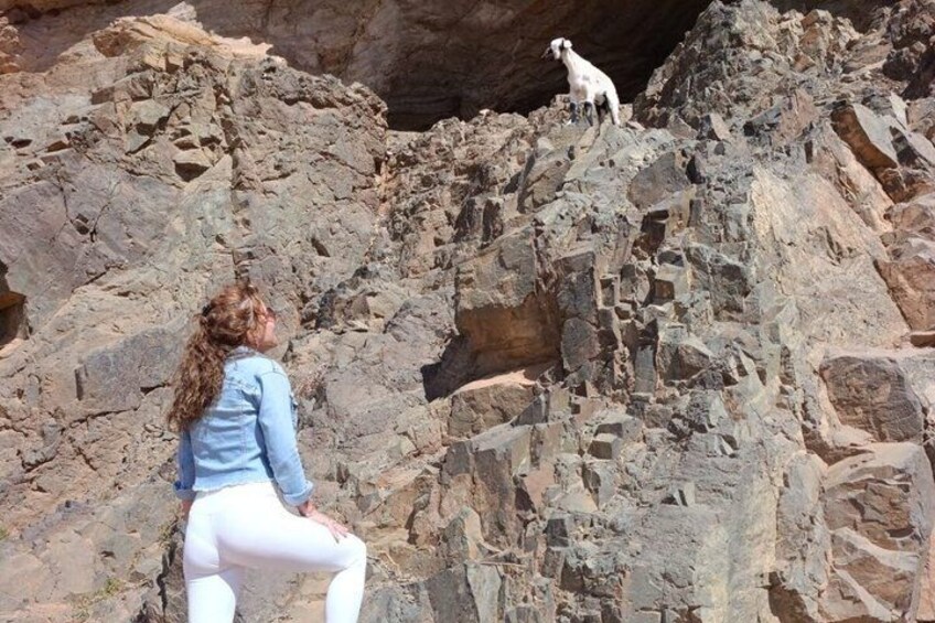 A person sitting on a rocky outcrop with a goat on a nearby cliff. 1