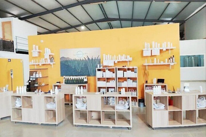 A retail store with wooden shelving units and a yellow wall with a nature-themed mural. 4