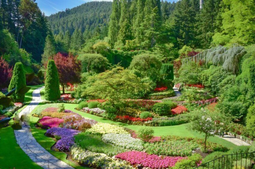A lush garden with a variety of colorful flowers and neatly trimmed hedges. 5