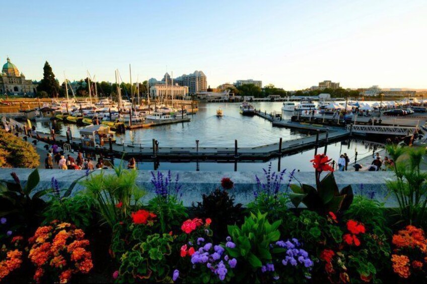 A marina with boats, a waterfront promenade, and a cityscape in the background. 1