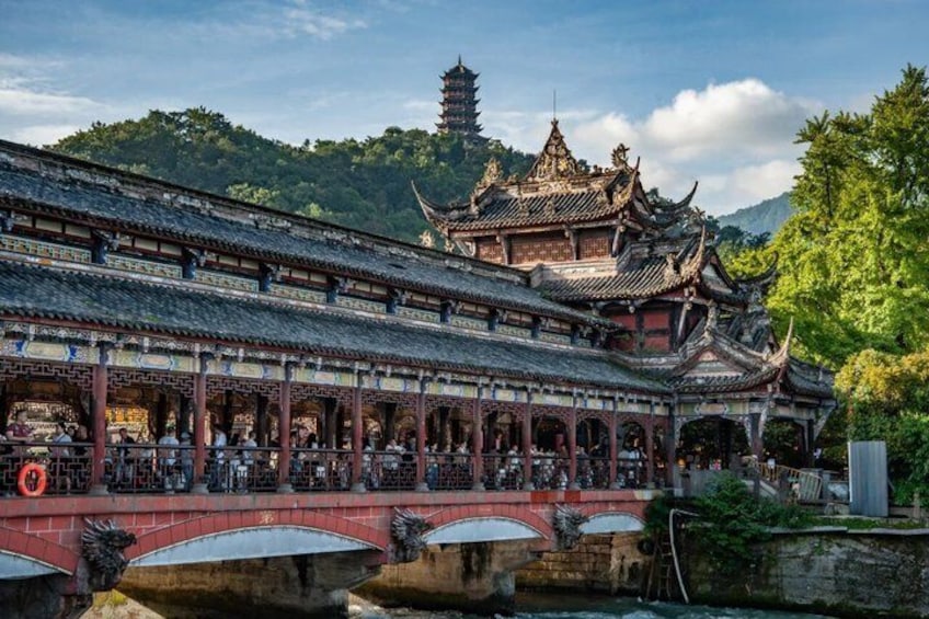 Wolong Panda Reserve and Dujiangyan One Day Private Guided Tour 1