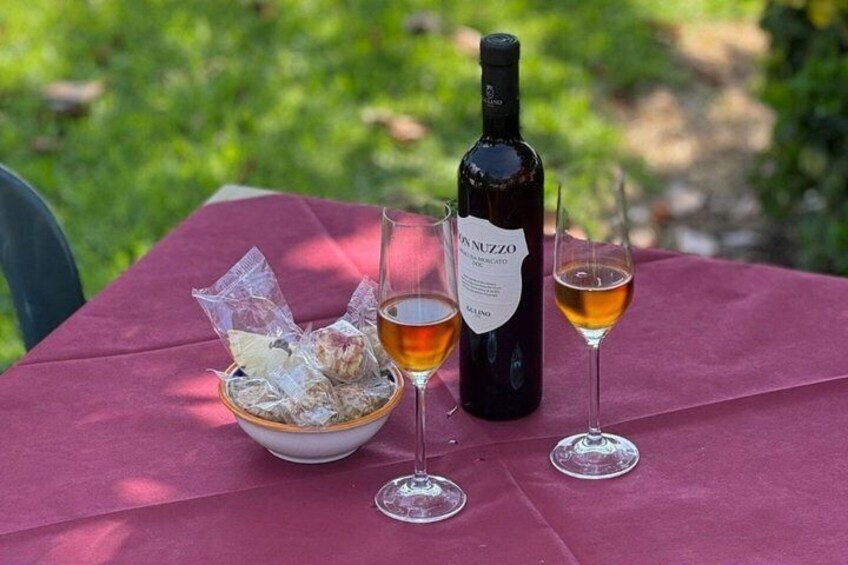 Vineyard Tour Wine Tasting and Brunch Near Siracusa 2