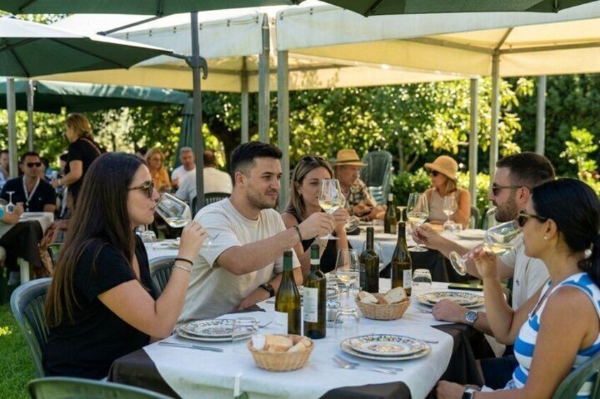 Vineyard Tour Wine Tasting and Brunch Near Siracusa 1