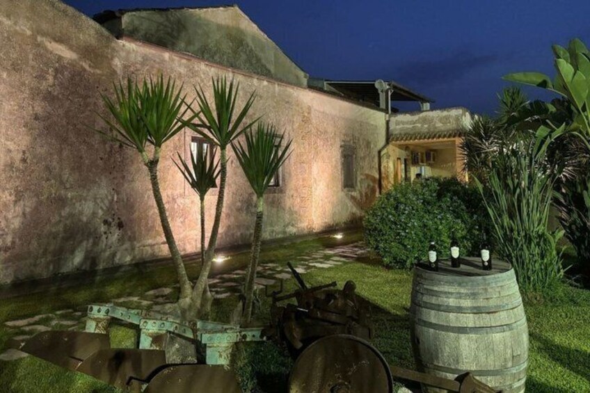 Vineyard Tour Wine Tasting and Brunch Near Siracusa 5