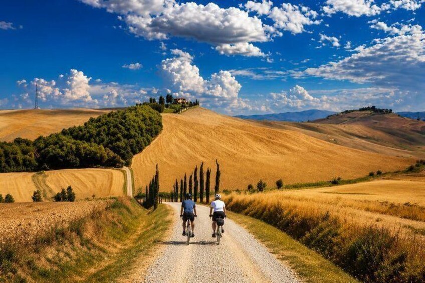 Montalcino and Brunello eBike tour among cypresses vineyards and villages 1