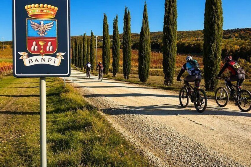 Montalcino and Brunello eBike tour among cypresses vineyards and villages 4