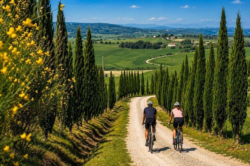 Montalcino and Brunello eBike tour among cypresses vineyards and villages 3