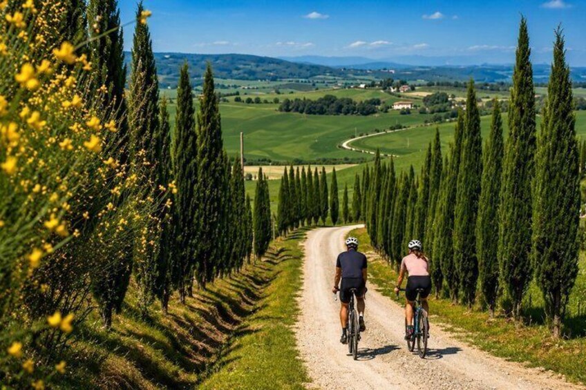 Montalcino and Brunello eBike tour among cypresses vineyards and villages 5