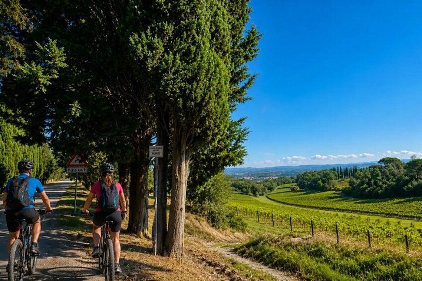 Montalcino and Brunello eBike tour among cypresses vineyards and villages 4