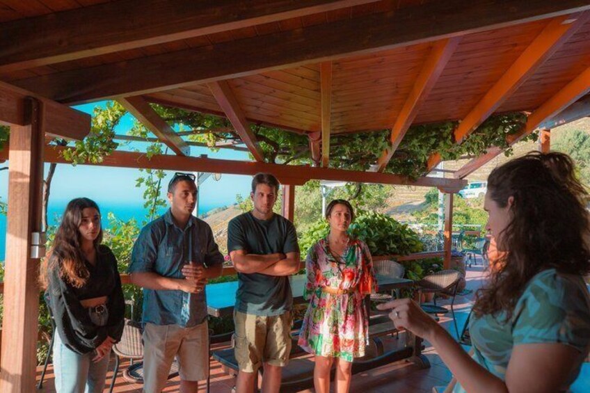 Ikaria's wine heritage 2